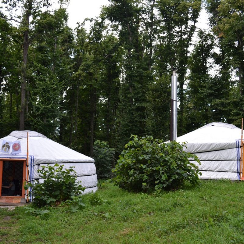 Yurta