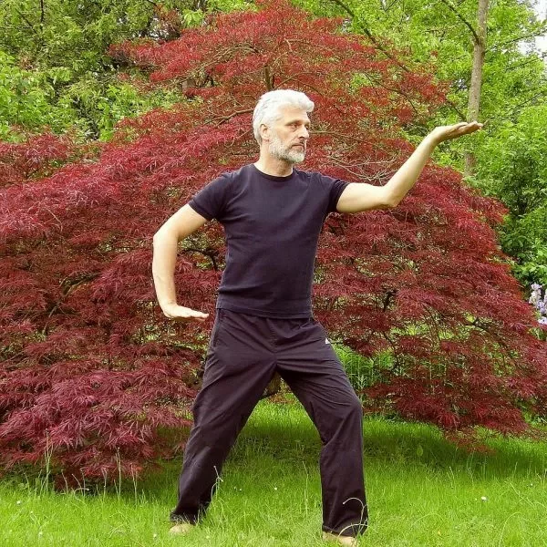 Hombre practicando chi-kung al aire libre.