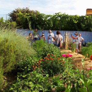 Huerta-Jardín del Boticario, centro de permacultura ubicado en Macastre, Valencia.