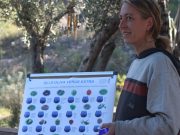 Cata de aceites de oliva virgen extra cultivados en permacultura