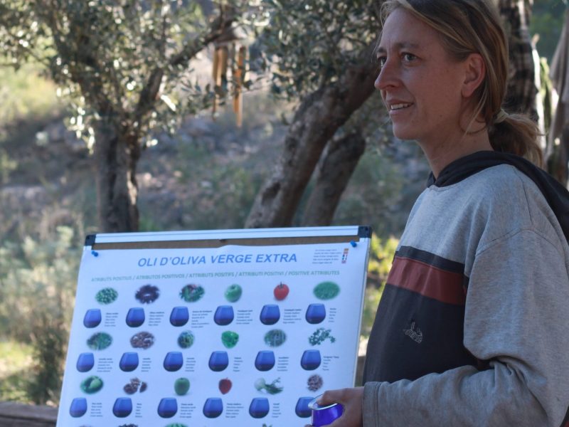 Degustación de aceites de oliva virgen extra cultivados en permacultura