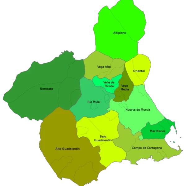 Mapa con las comarcas que componen la Región de Murcia (España).