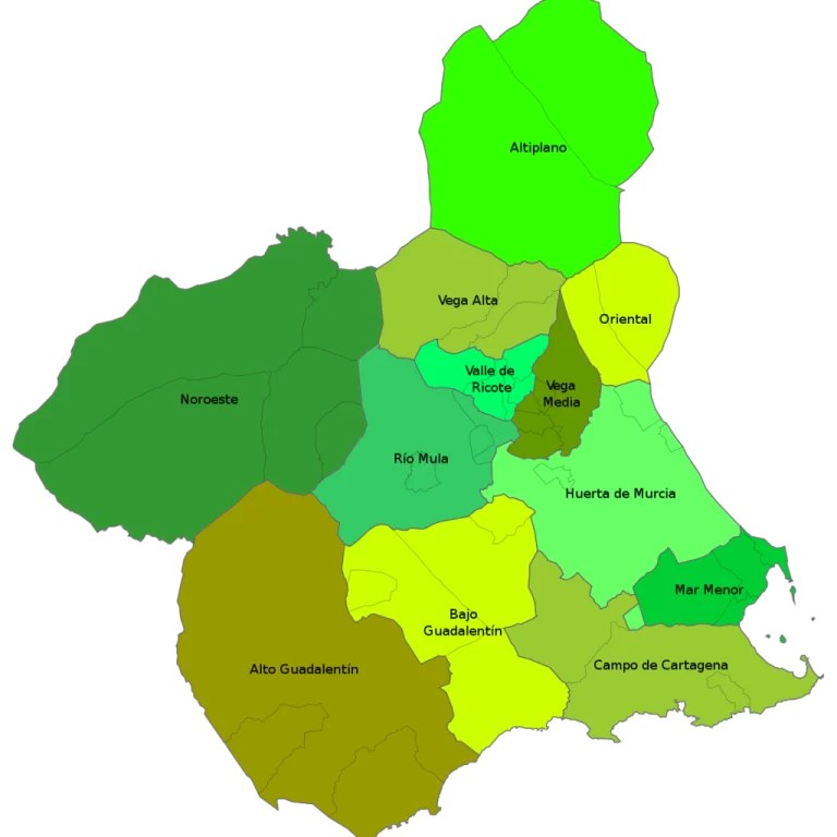 Mapa con las comarcas que componen la Región de Murcia (España).