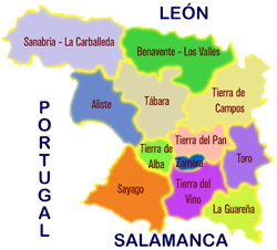 Mapa con las 12 comarcas que forman la provincia de Zamora (Castilla y León, España).