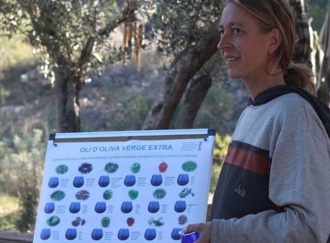 Degustación de aceites de oliva virgen extra cultivados en permacultura