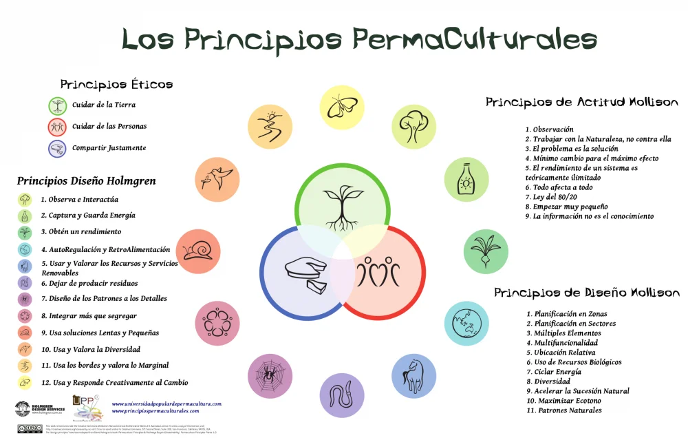 Cartel de los principios de diseño de la permacultura