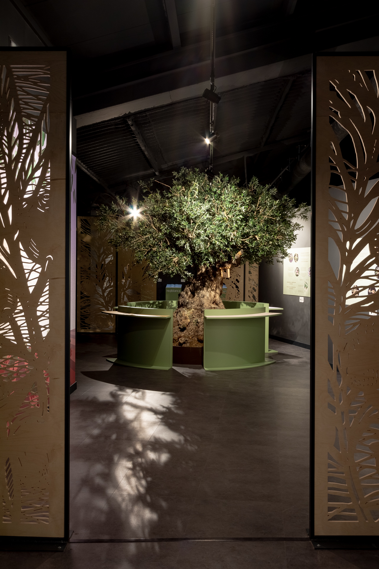 Premio a la Difusión de la Cultura del Olivo para el Centro de Interpretación del Olivar 5 Elementos.