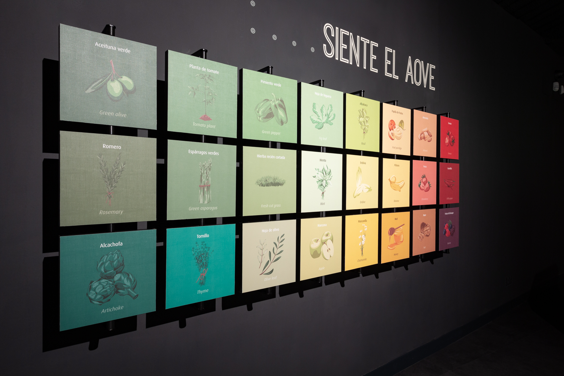 Mención Especial para el Centro de Interpretación del Olivar 5 Elementos